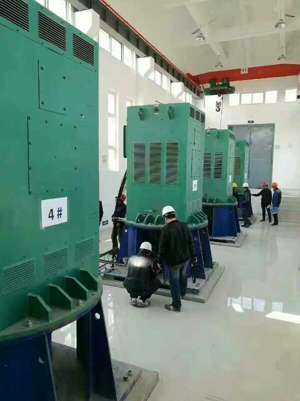沁阳某污水处理厂使用我厂的立式高压电机安装现场