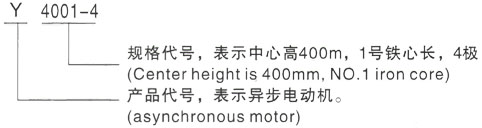 西安泰富西玛Y系列(H355-1000)高压沁阳三相异步电机型号说明